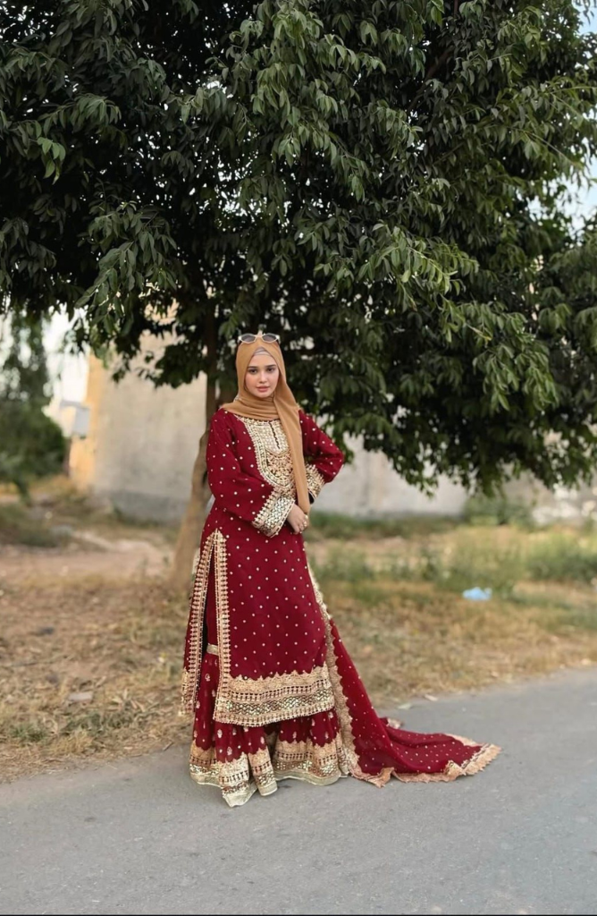 BAROQUE LUXURY EMBRIODERD CHIFFON 3PC E#002